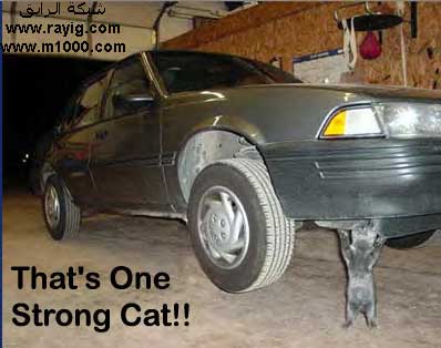 realy ? she's sorbrize for me